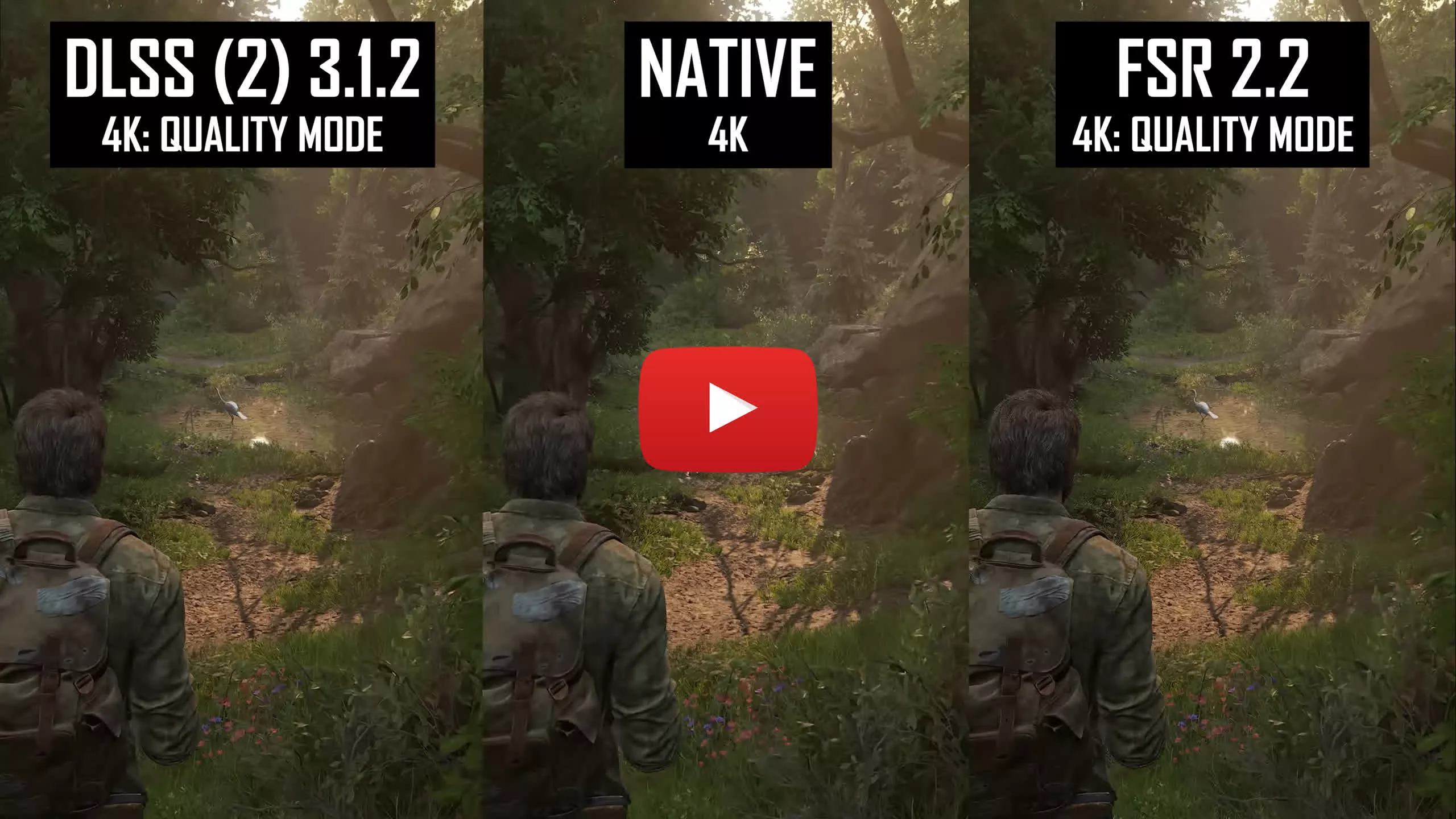 Can DLSS Render "Better Than Native" Graphics? 4