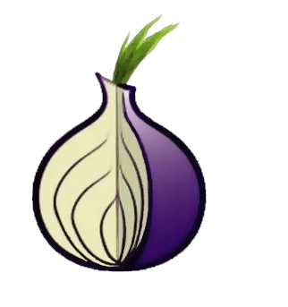 Tor browser download for android hydra как ускорить браузер тор gidra