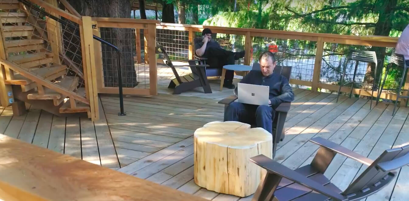 Microsoft employees can now work in the trees