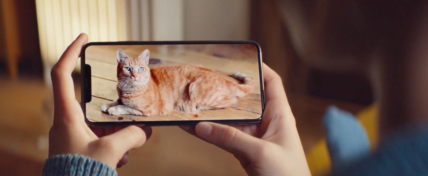 Apple faces lawsuit claiming it hid the iPhone XS notch and lied about screen size