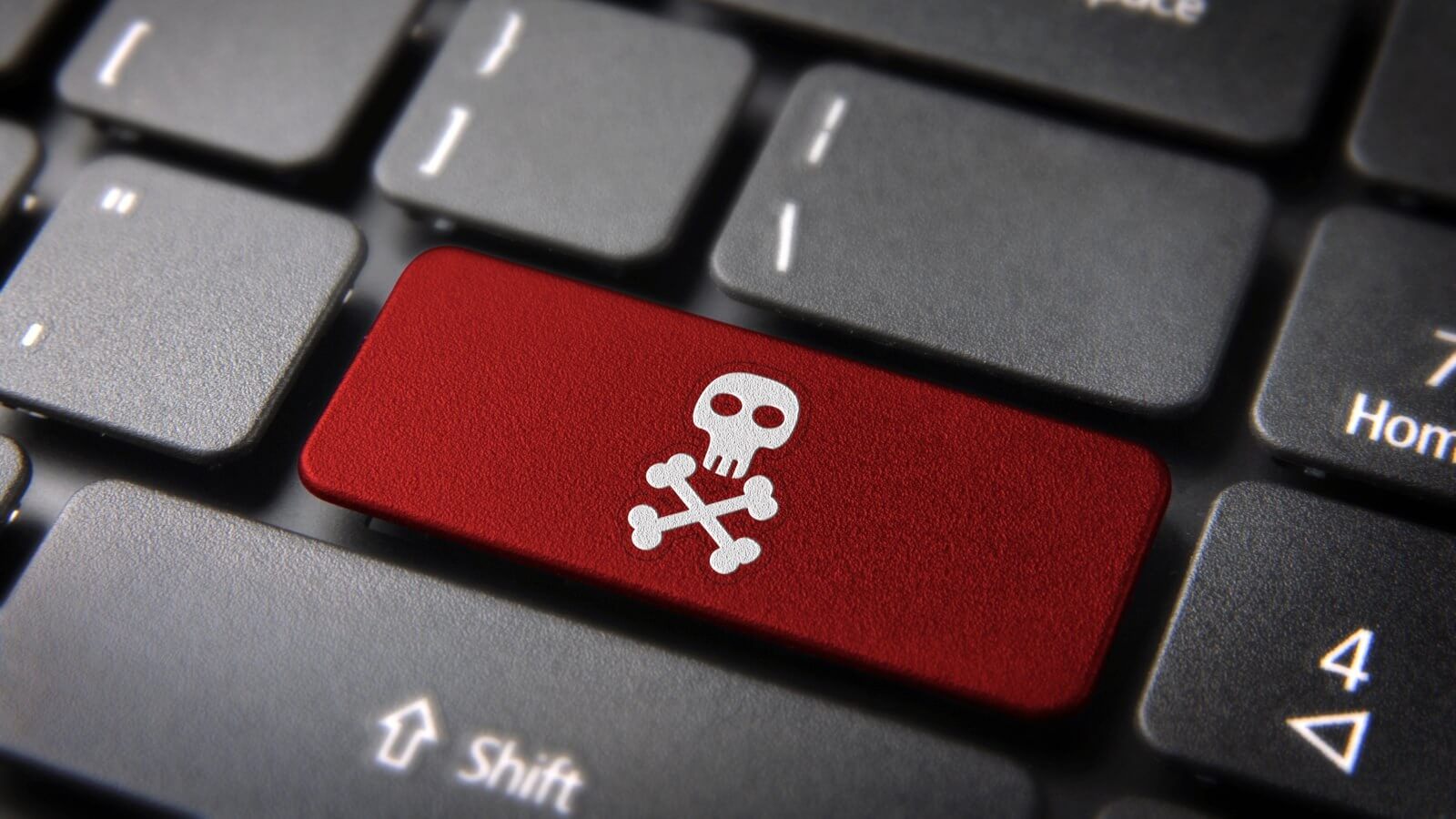 Streaming services are 'killing' piracy, New Zealand study claims