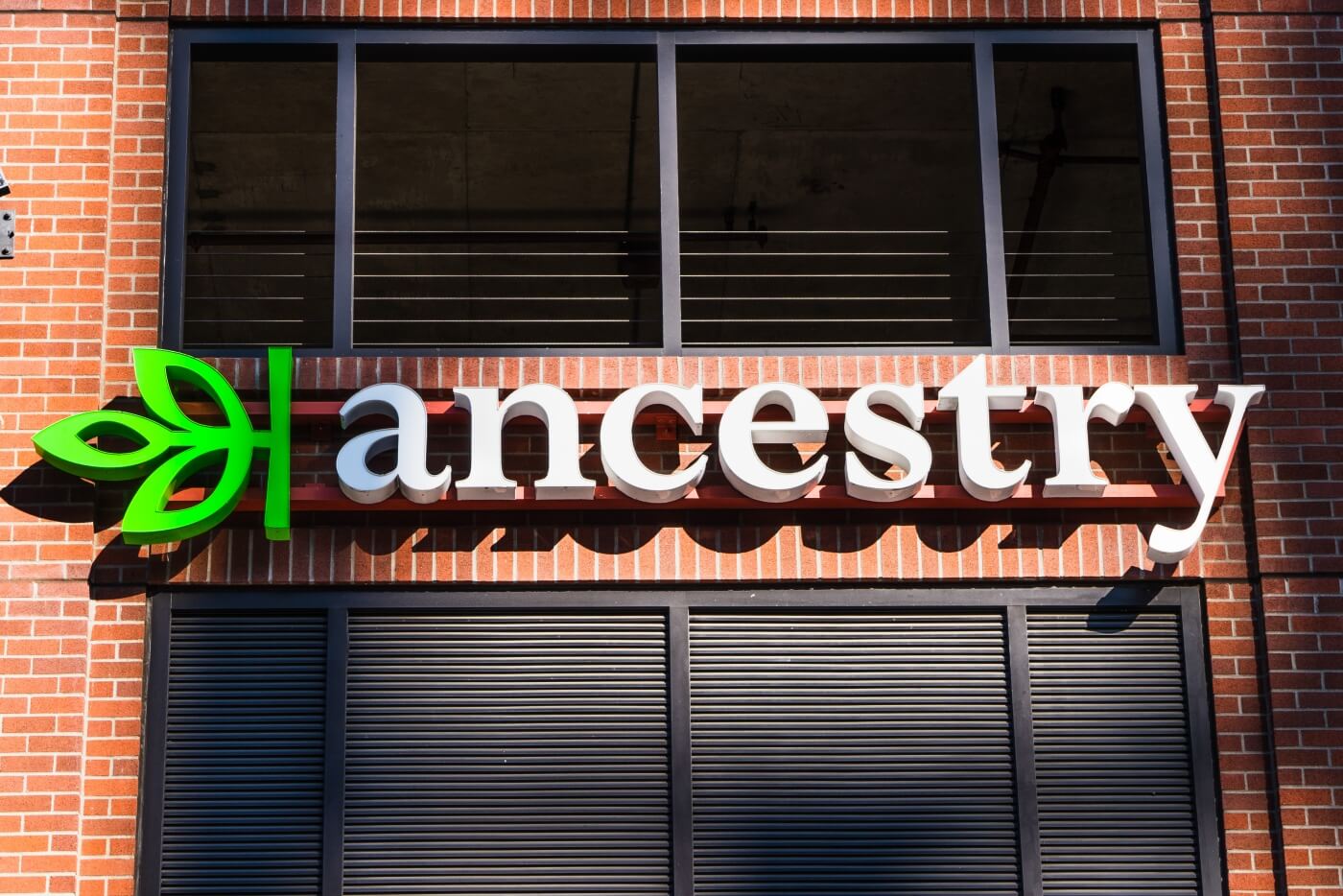 Ancestry lays off 100 employees as consumer interest in DNA testing continues to wane