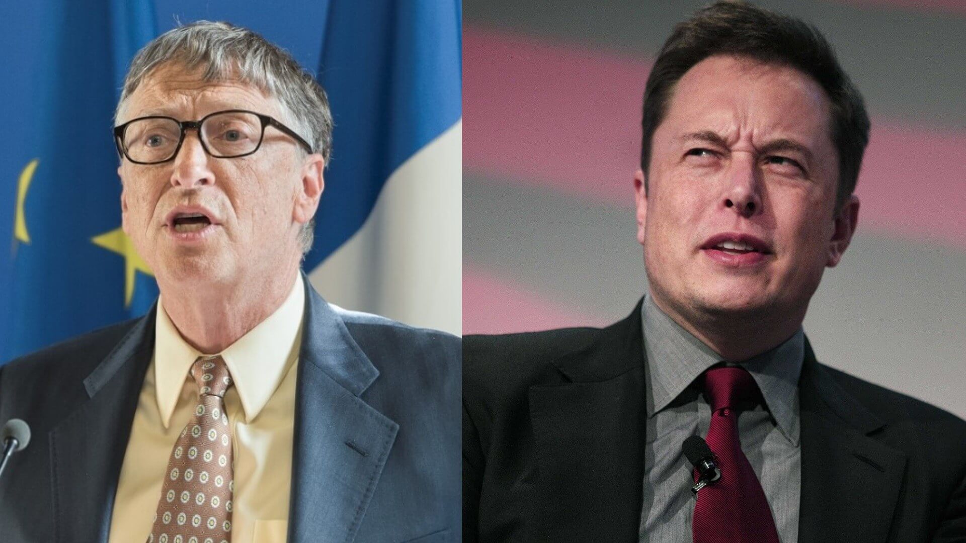 Elon Musk confirms he confronted Bill Gates about shorting Tesla stock