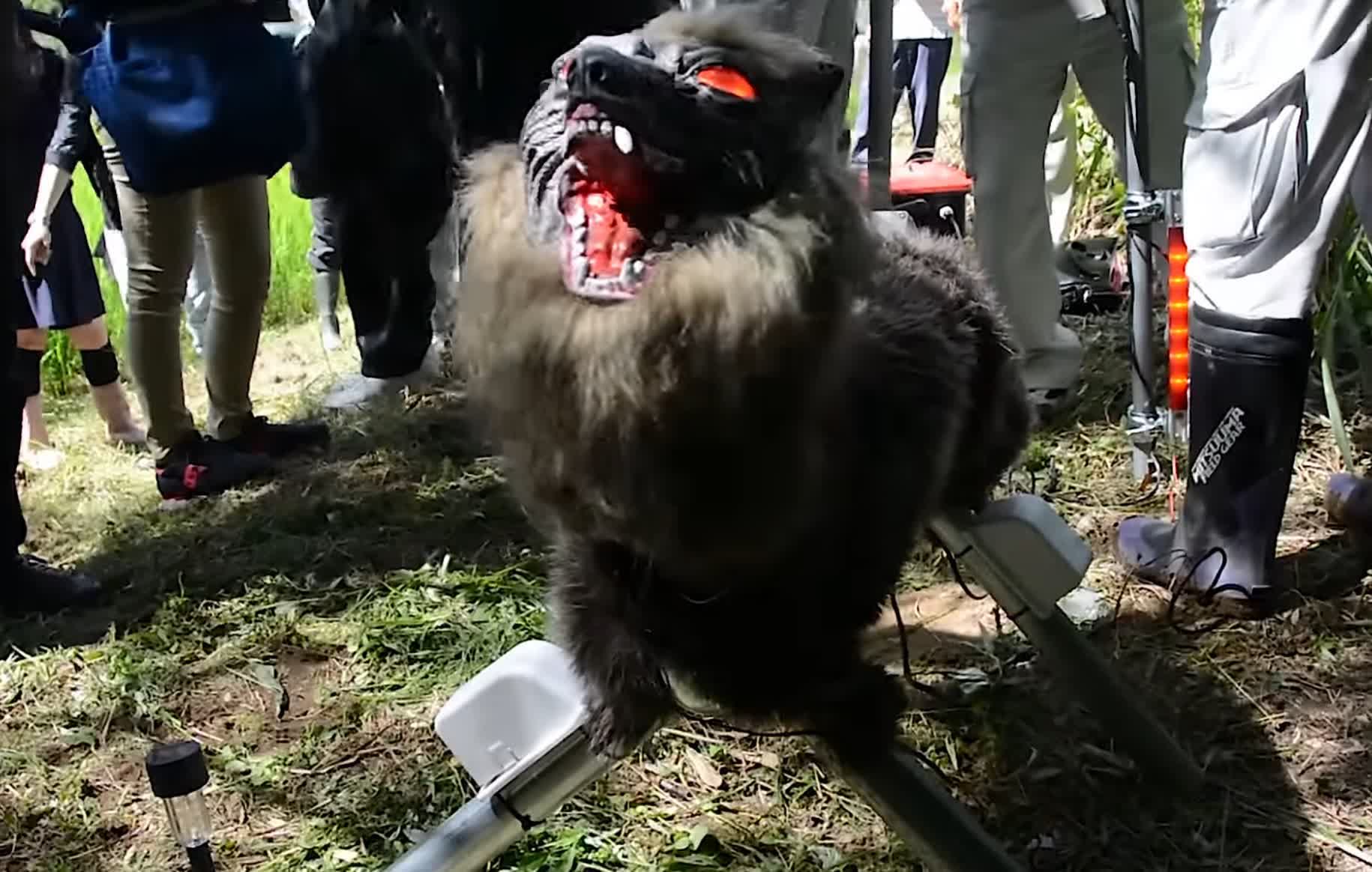 Terrifying robot wolves used to scare off bears in Japan