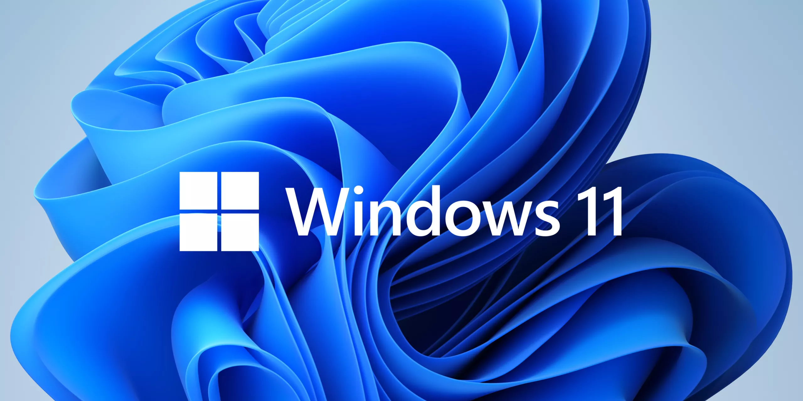New Windows 11 build made available to Insiders fixes AMD performance issues