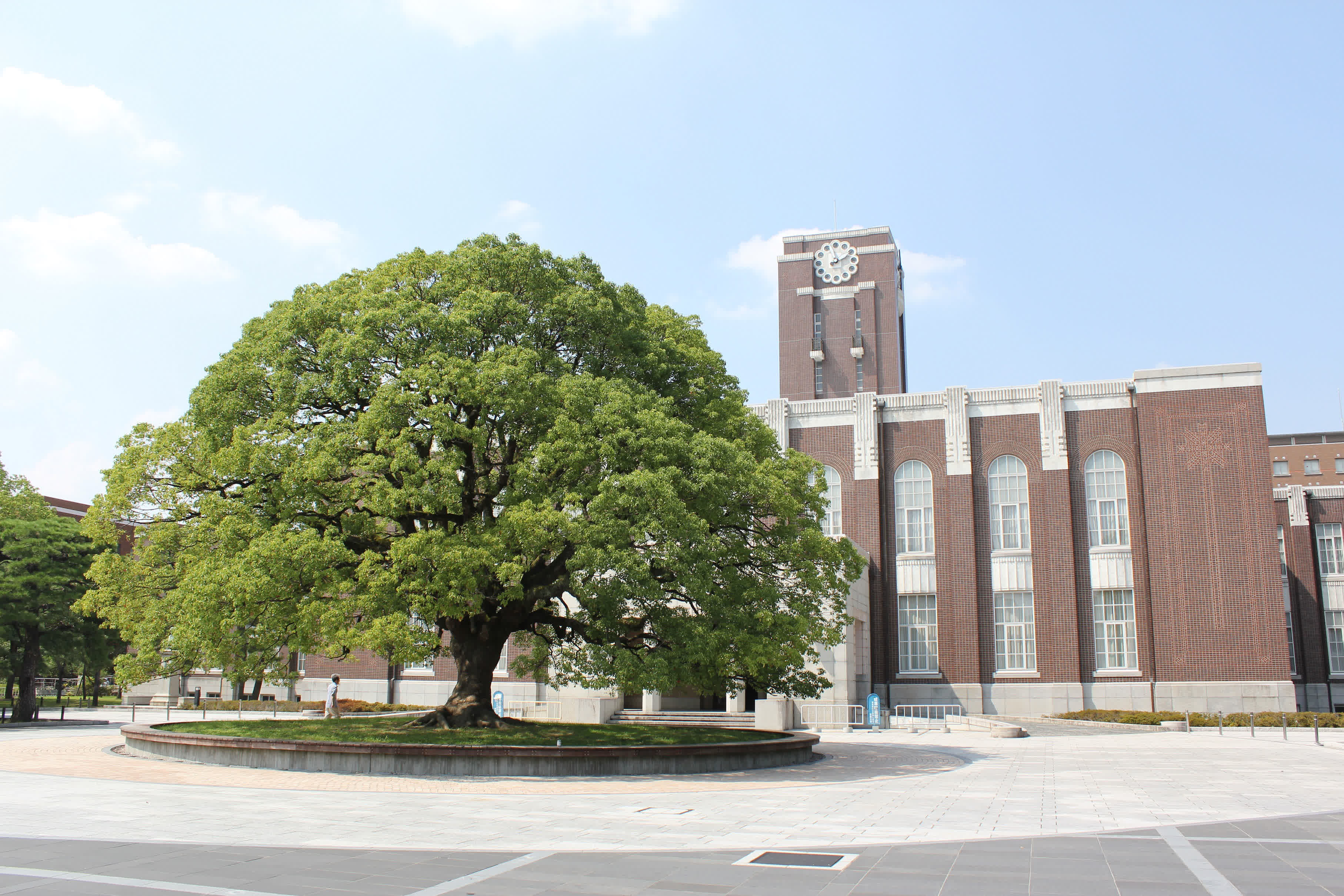 Japanese university loses 77TB of research data following a buggy software update