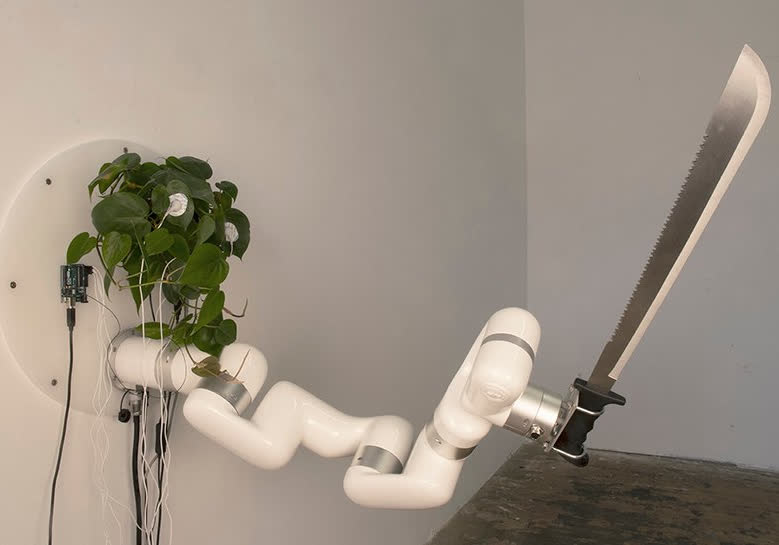 Thanks to modern science and one artist's vision, plants can now wield swords thumbnail
